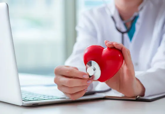 Anatomical heart model — CardioShield cardiovascular medicines